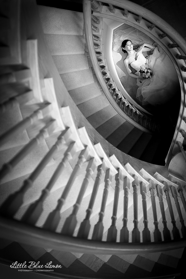 Little Blue Lemon Photo