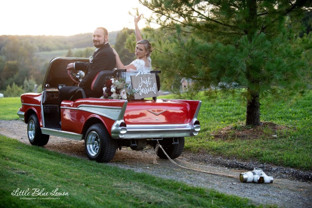 Little Blue Lemon Photo