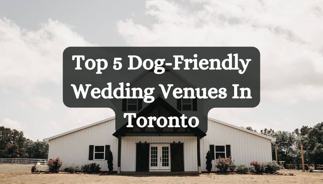 Top 5 Dog-Friendly Wedding Venues In Toronto